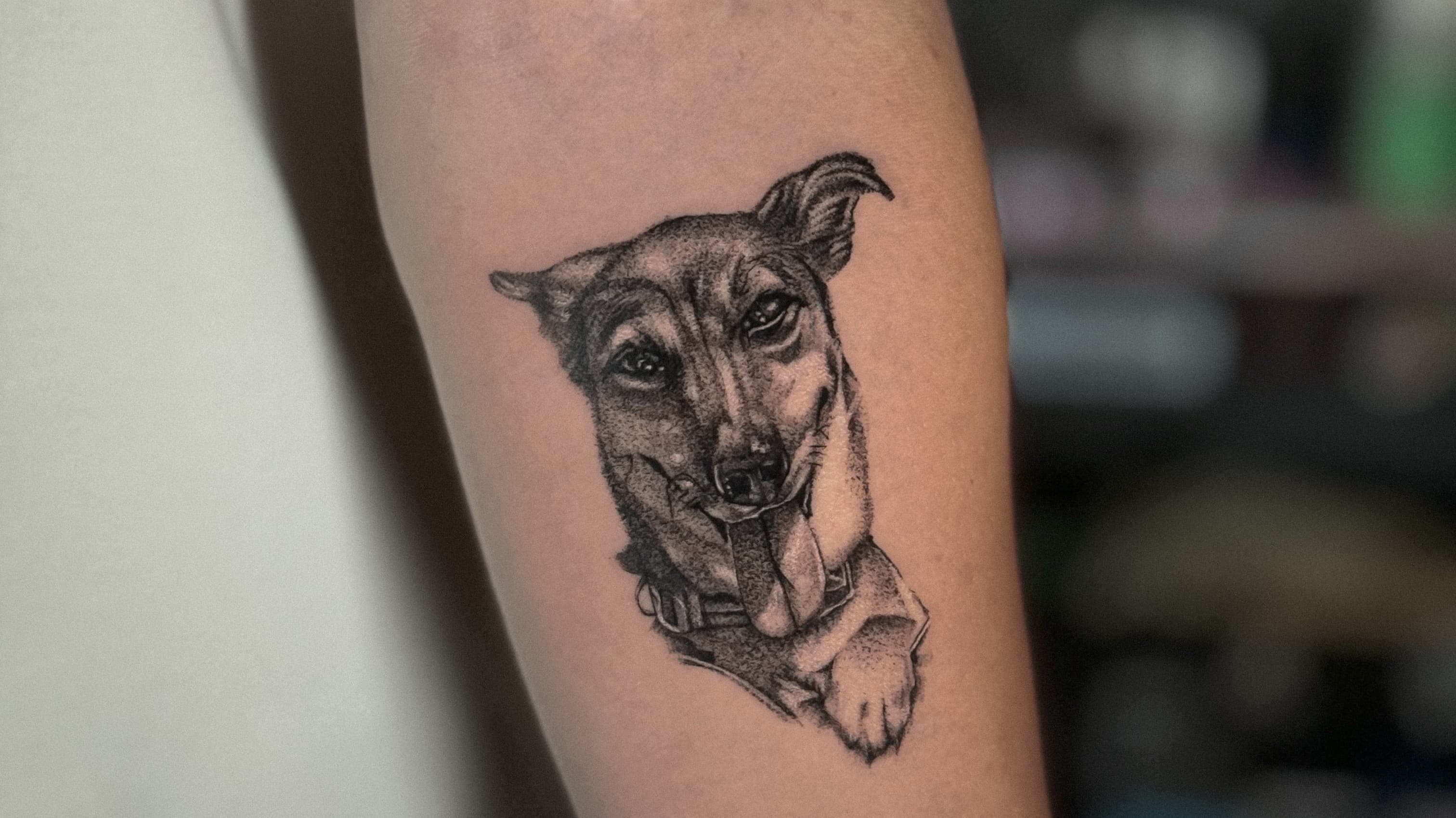 Noir tattoo 5 arka
